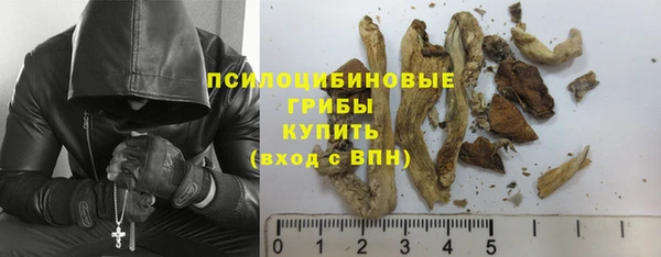 экстази Гусиноозёрск
