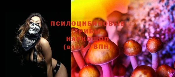 таблы Гусев