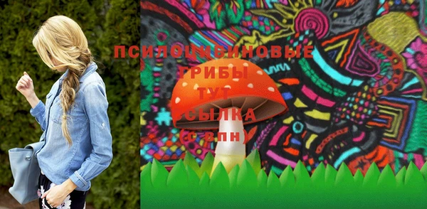 таблы Гусев