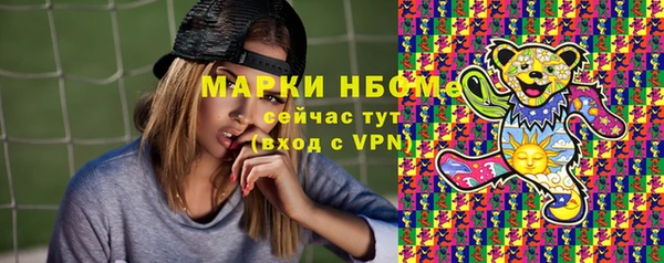 таблы Гусев