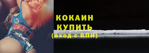 таблы Гусев