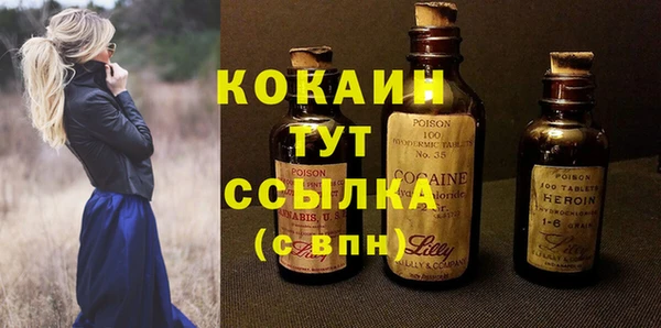 таблы Гусев